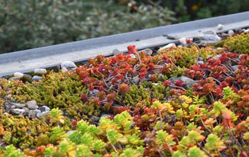 the cost of Chwilog green roof installation
