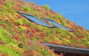 Chwilog living roof systems