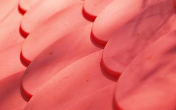 Chwilog plastic roof costs