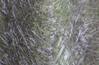 Chwilog fibreglass roof work